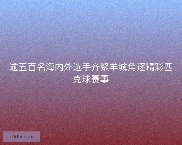 逾五百名海内外选手齐聚羊城角逐精彩匹克球赛事